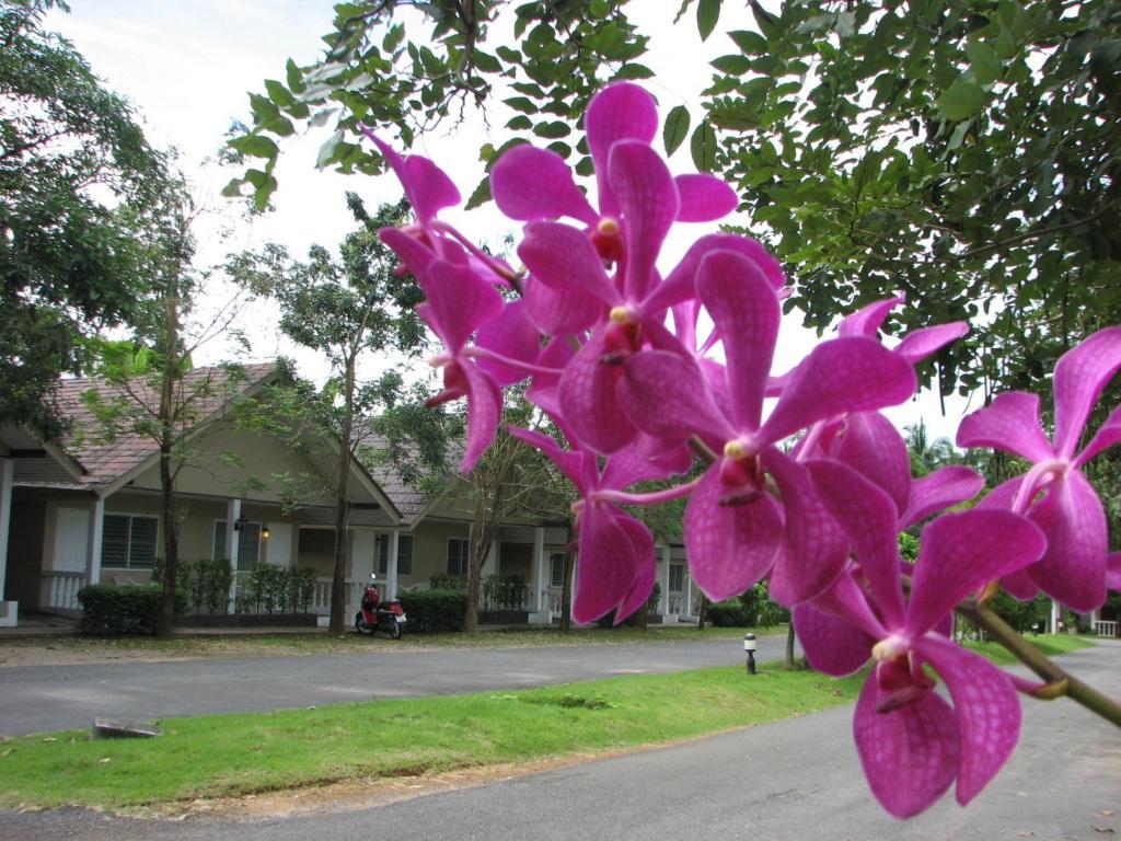 Krabi Flora Hotel Buitenkant foto